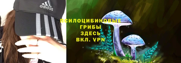 мяу мяу мука Инсар