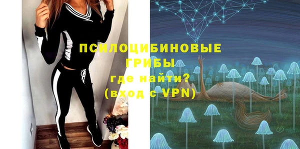 гашик Богородицк