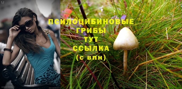 Альфа ПВП Богданович
