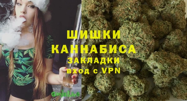 гашик Богородицк